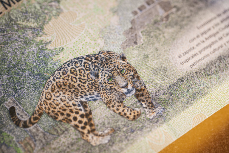 1,000 mexican pesos banknote design